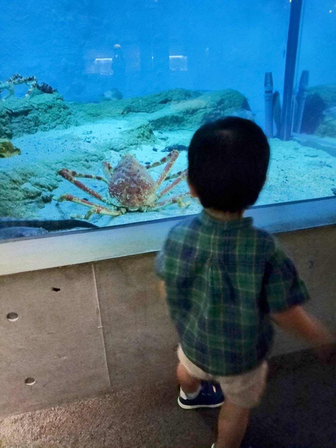 関西のオヤジ