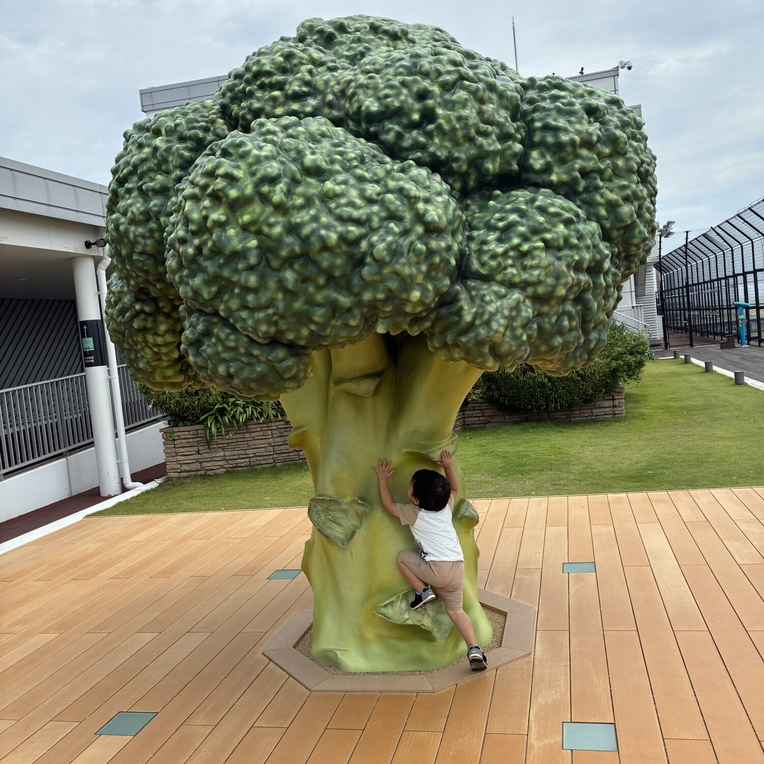 展望デッキ|神戸空港|子連れおでかけ