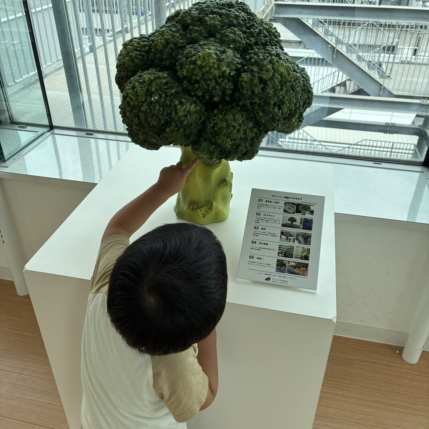 展望デッキ|神戸空港|子連れおでかけ